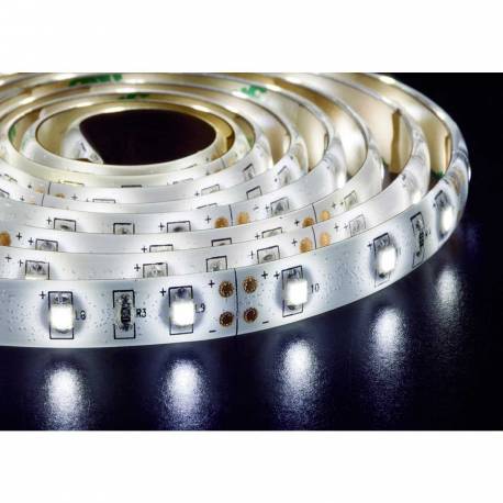 Tira led de 5m chip 3528 12v 60 led-m. IP20 Maslighting 184352